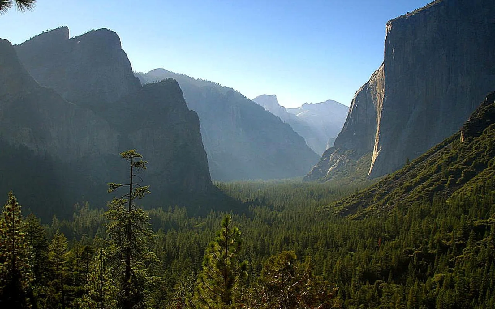Yosemite Valley with granite cliffs and natural California landscape